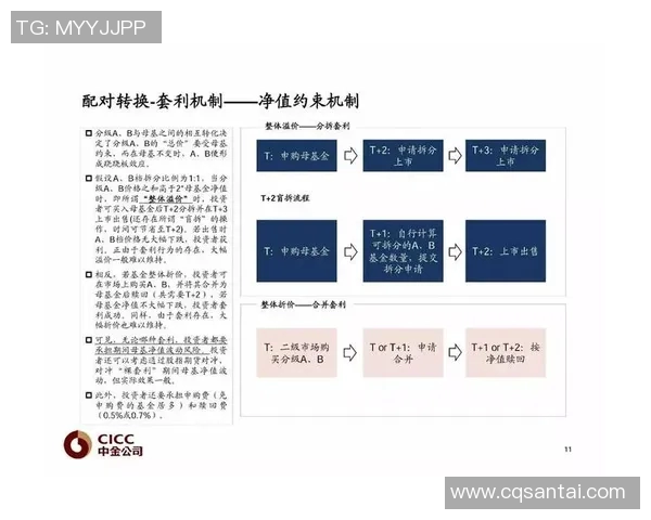 重磅专题探讨北京排球队盯防策略的创新与发展之路
